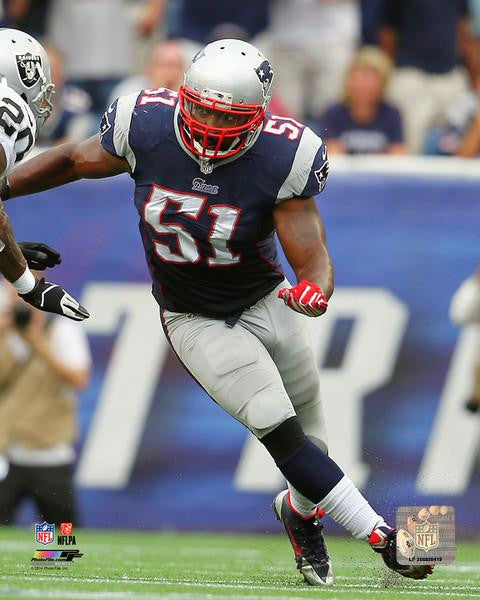 Jerod Mayo 2014 Action