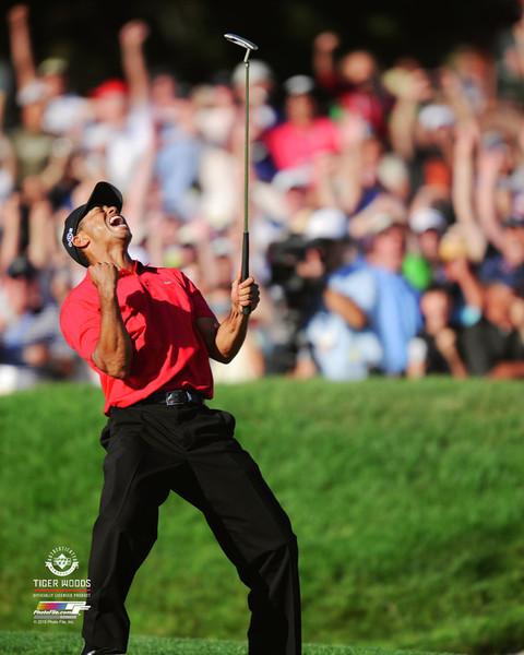 Tiger Woods 2008 U.S. Open