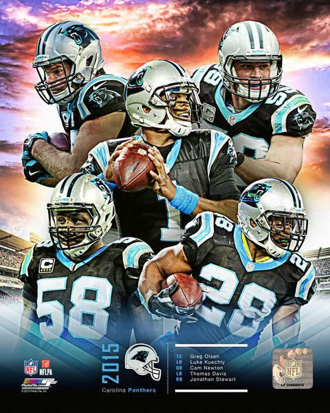 Carolina Panthers 2015 Team Composite