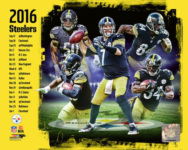 Pittsburgh Steelers 2016 Team