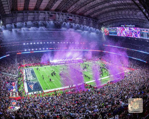 NGR Stadium - Super Bowl 51 Photo