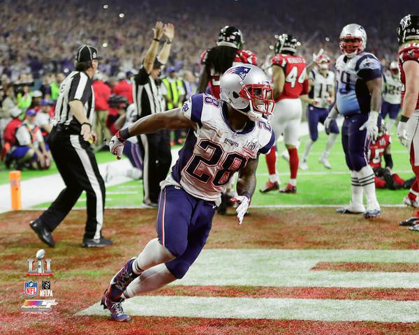 James White game winning touchdown - Super Bowl 51 Photo