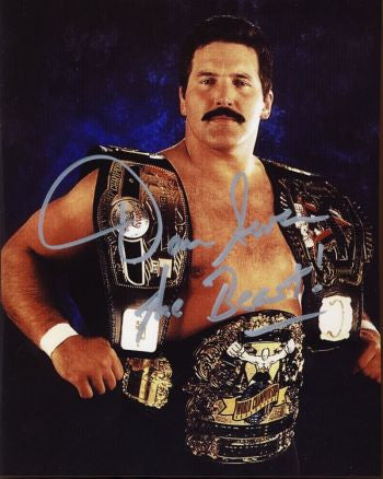 dansevern1_auto.jpg