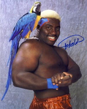 kokobware3_auto.jpg